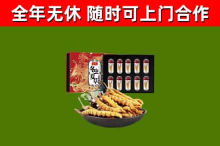 南山回收冬虫夏草价格